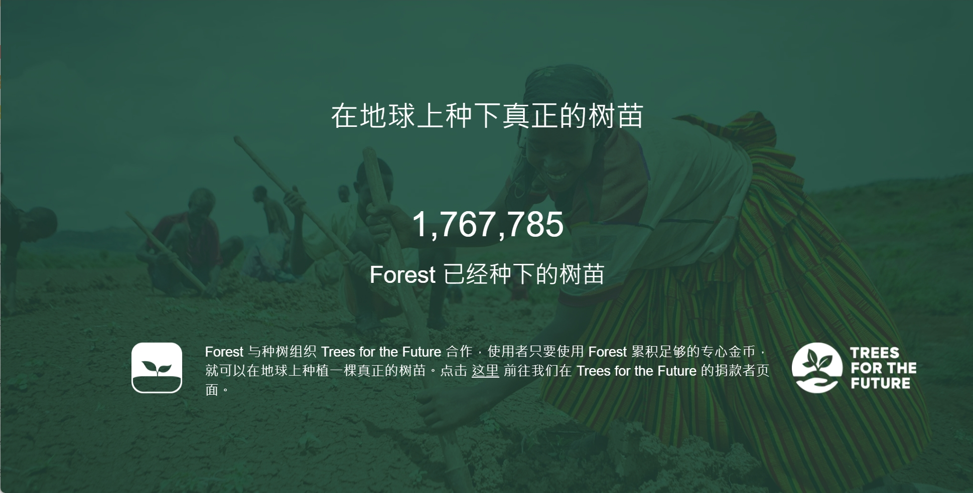 微信截图_20250119134925