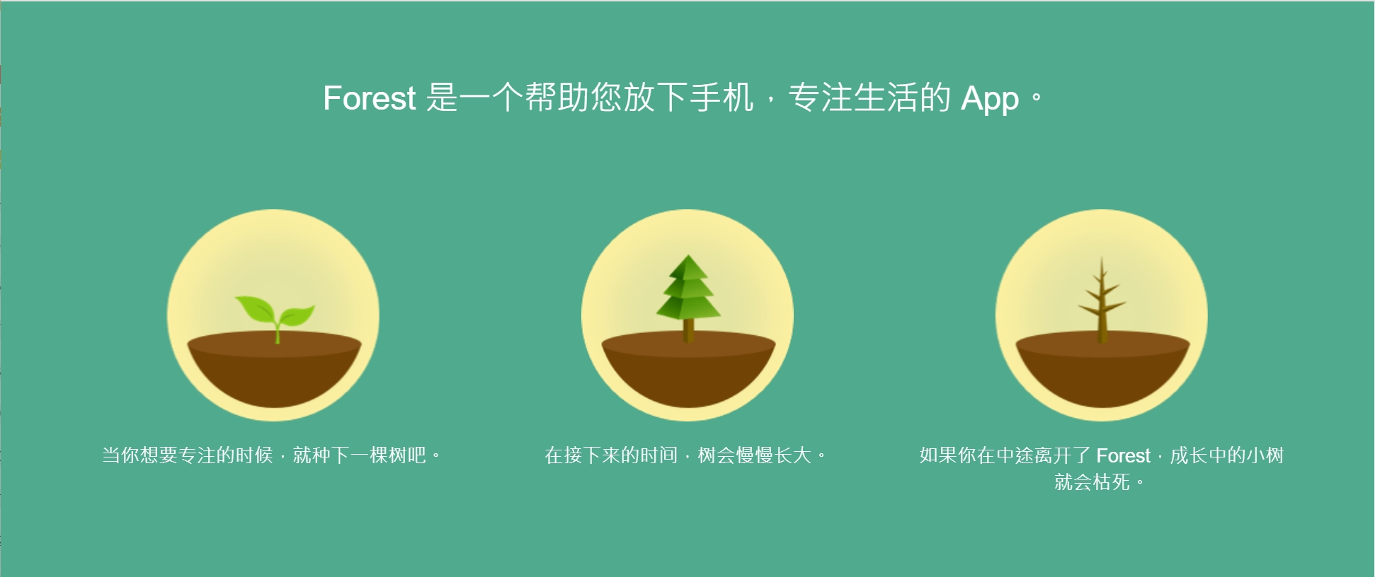 微信截图_20250119134840