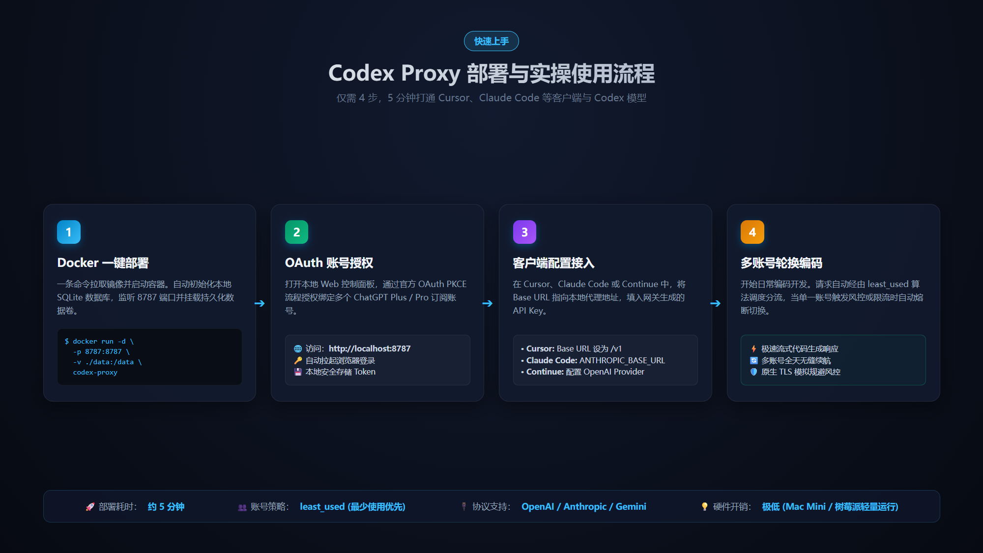 Codex Proxy 使用流程