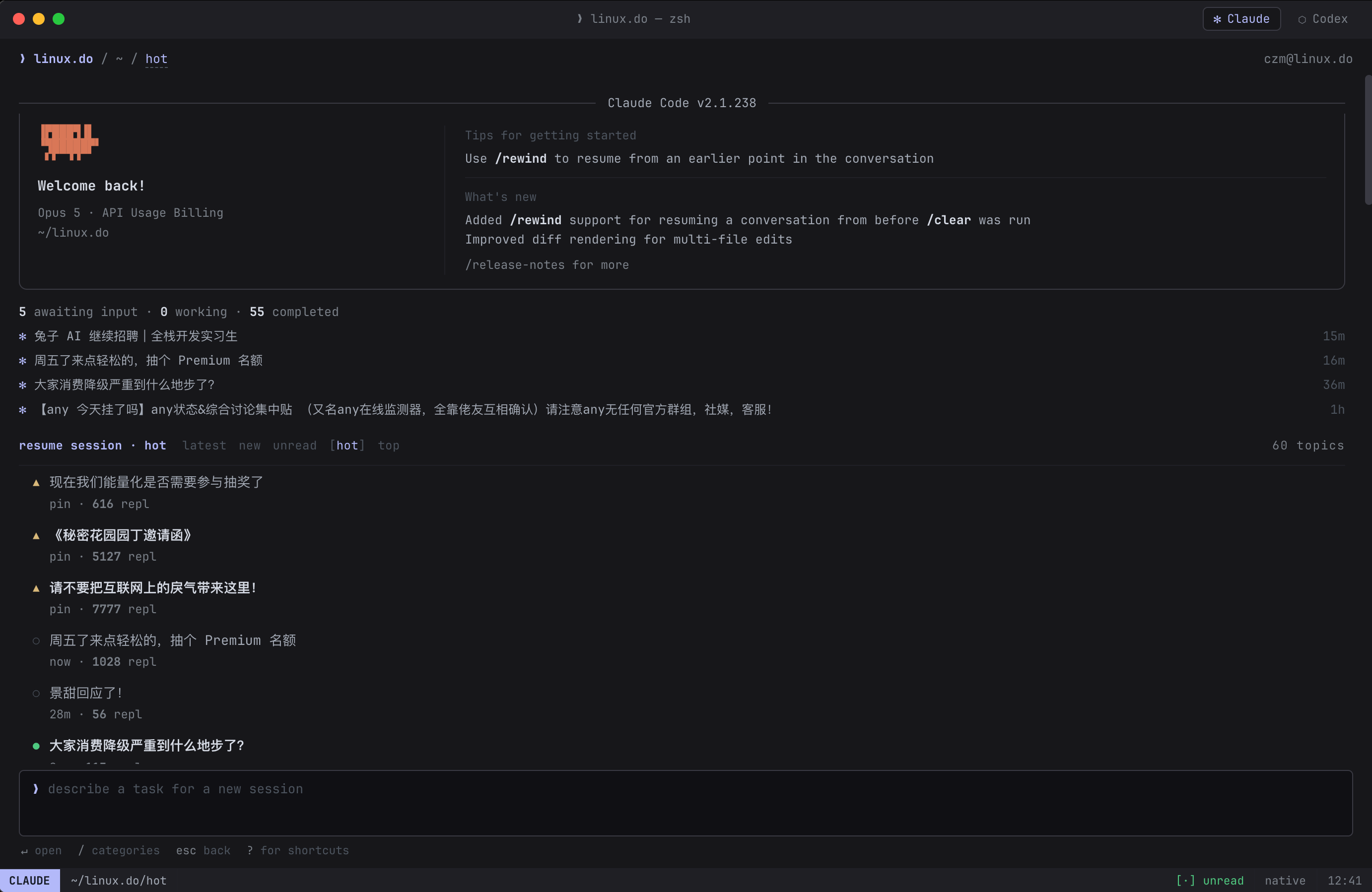 Claude Code 终端 TUI 列表页